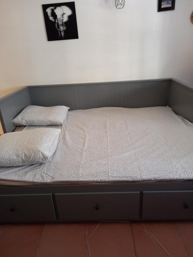 Studio Cocooning Centre Historique D Avignon Apartment Екстериор снимка