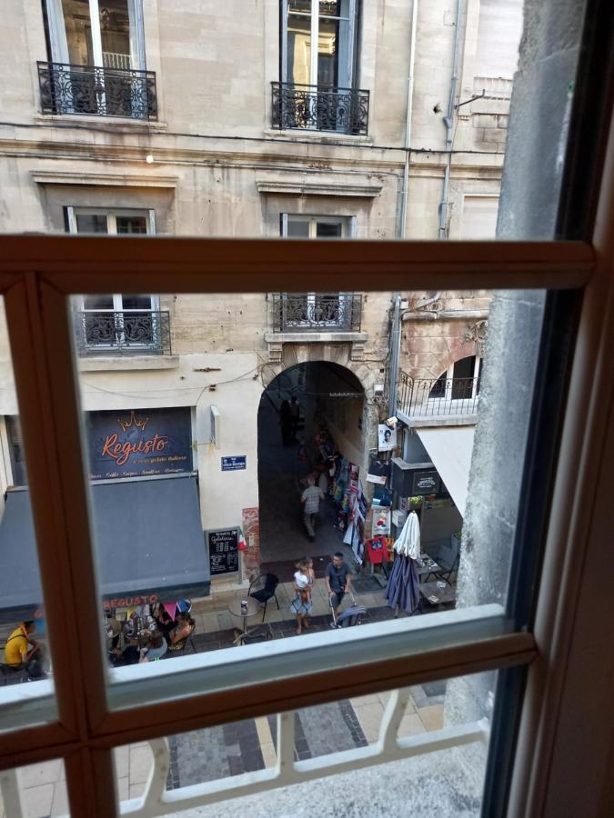 Studio Cocooning Centre Historique D Avignon Apartment Екстериор снимка